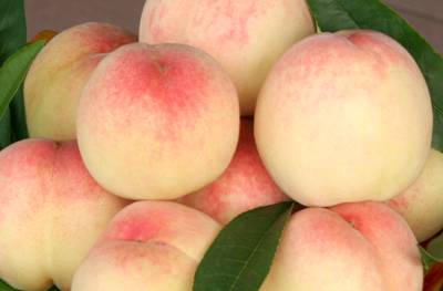 不是天生黑的被晒黑的怎么变白,不是天生黄皮怎样美白