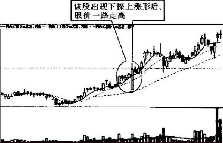 每天学点股票基本知识,股市操练大全第一册免费阅读