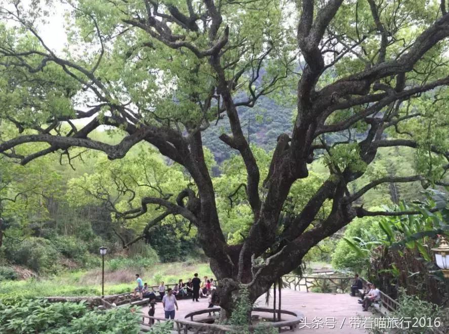 探访龙泉古村,龙泉古镇的美景