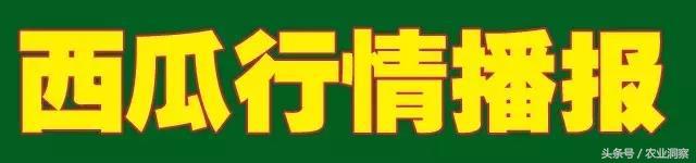 2019年5月7日全国西瓜价格,2018年7月中旬西瓜价格