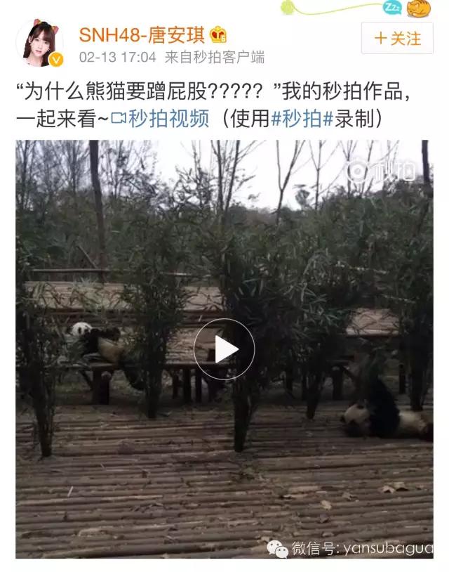 snh48成员哭到喘不上气,snh48被火烧伤的女孩最后怎么样了