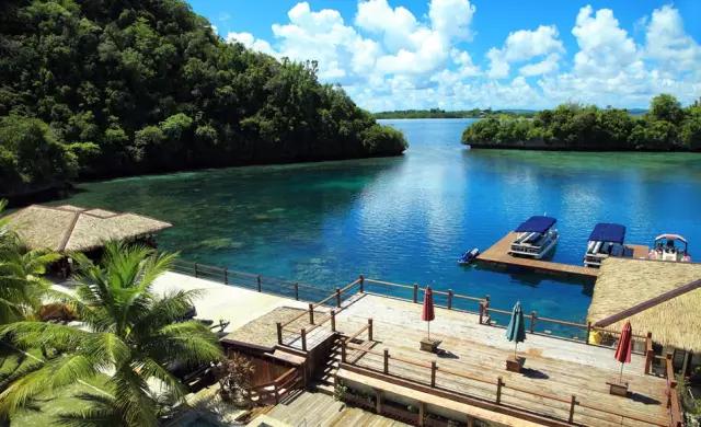 旅游所需的护照签证等申请攻略,出国旅游护照签证办理流程图