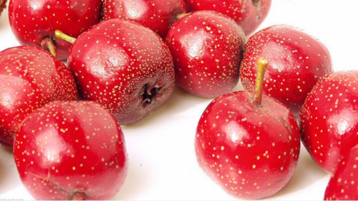 准妈妈不可以吃哪些食物,准妈妈可以吃哪些蔬菜