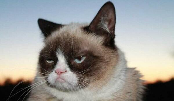 玩个游戏都成表情包了？神舟战神i5-4210M双核不纠结