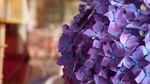 盘点那些骂人的口头禅,盘点那些骂人口头禅