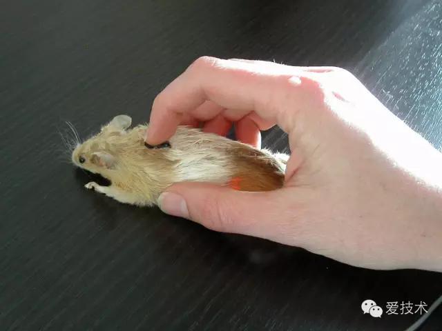 鼠标滚轮好难用,鼠标滚轮黑科技