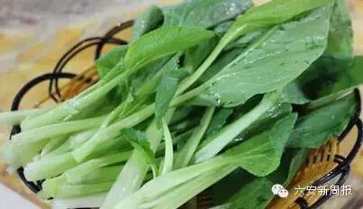 六安最新“野菜宝典”7种野菜，13种时令蔬菜，你都认识吗？
