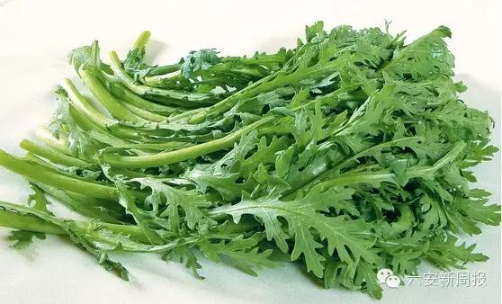 六安最新“野菜宝典”7种野菜，13种时令蔬菜，你都认识吗？