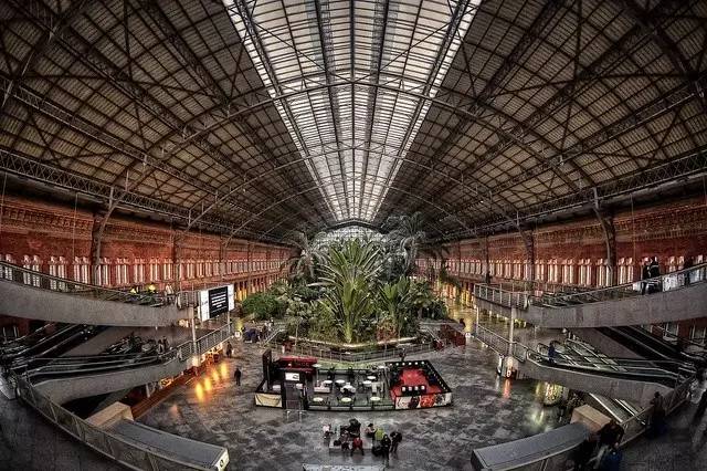 疯狂动物城里的城市叫什么,疯狂动物城里的12个生态区