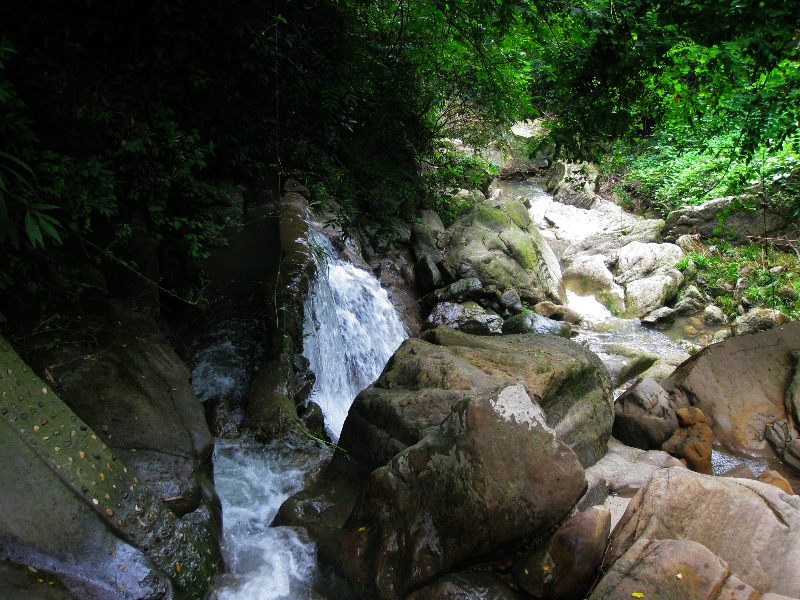 四川竹海旅游推荐,蜀南竹海清凉一夏