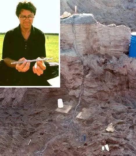 为什么要说瘦成一道闪电,什么时候才能瘦成一道闪电