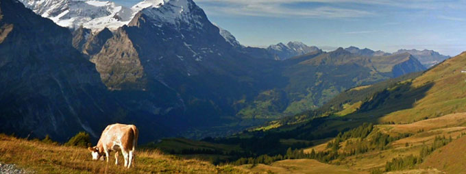 谷歌街景服务分析,谷歌地球街景技术