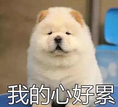 不能笑！因为国宝看了这条新闻能气死