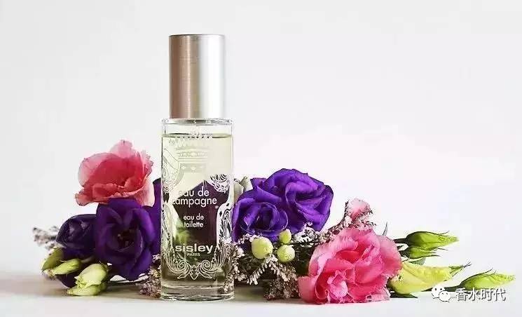 冷门又高级感女士香水,女士香水各大经典款测评