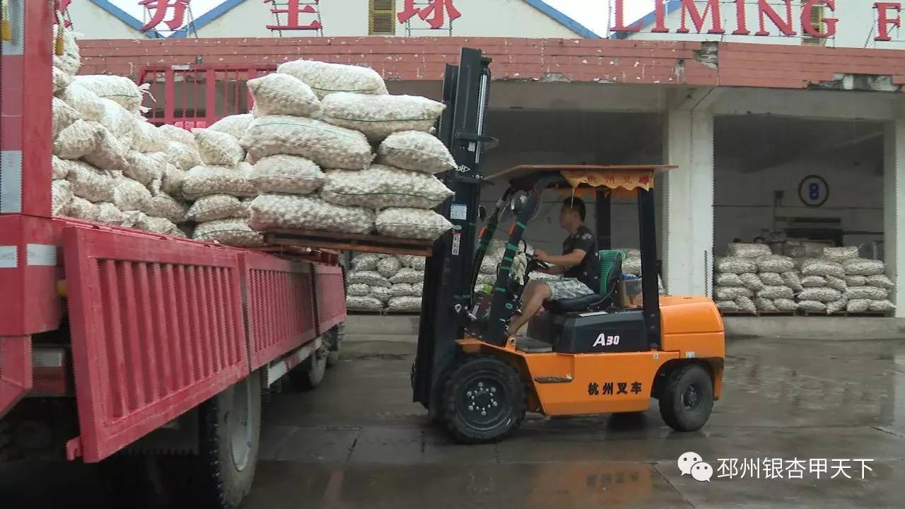 邳州的“一头蒜”到底有多牛，看完这篇微信你就知道了！