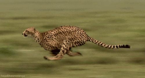 #走近科学#如何获得速度所带来的欲仙欲死的快感？