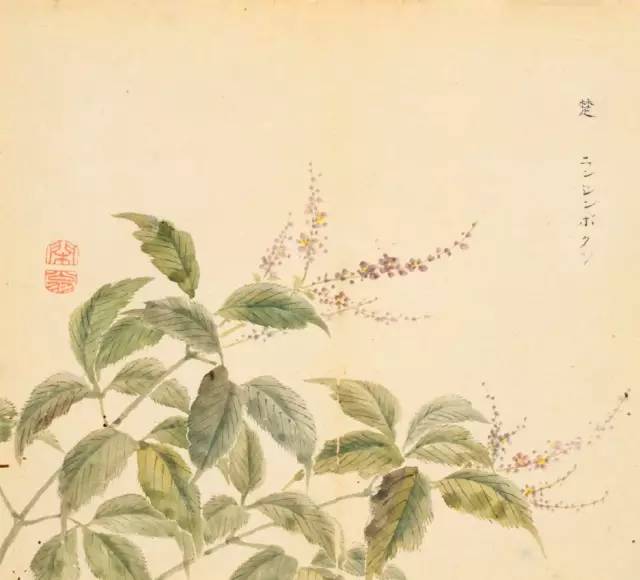 寻溯·花与草的诗情画意