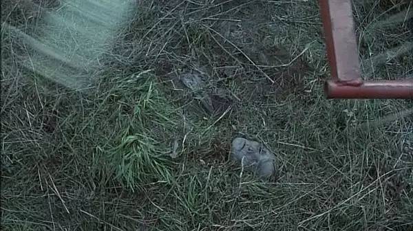 这部美版「白银连环杀人案」，早该刷爆朋友圈了