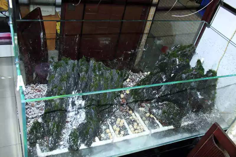 旅游时看到山川河流的感悟,旅游途中看到的景物