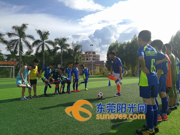 谢岗青少年篮球培训,谢岗足球班