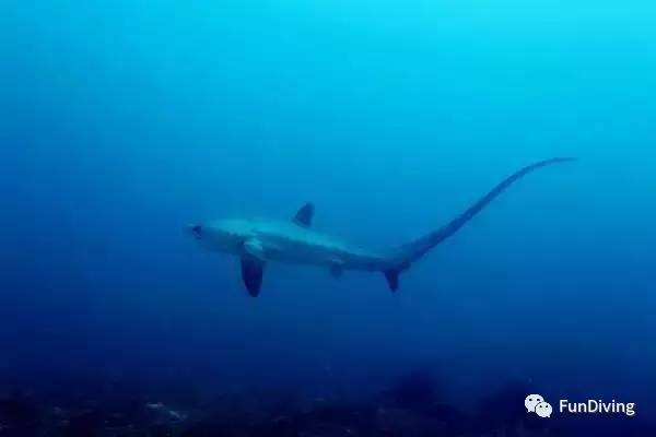 从入门级到朝圣级，船宿该怎么选？