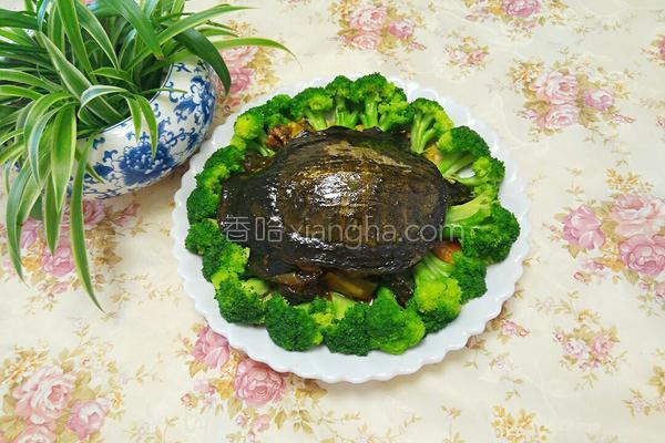 红烧甲鱼,红烧甲鱼炖鸡的做法