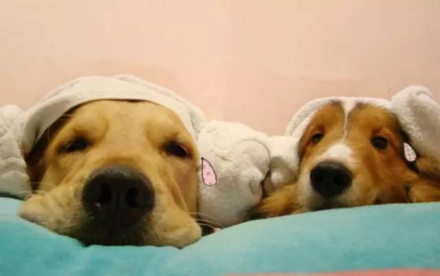 十年战痘血泪史详解,战痘知识分享