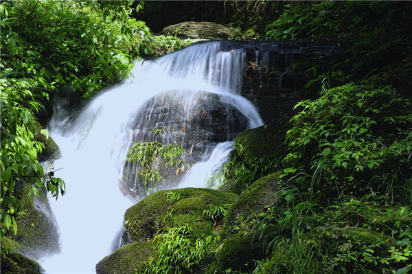 贵州值得一去的原生态村在哪里,贵州世界十大森林旅游胜地之一
