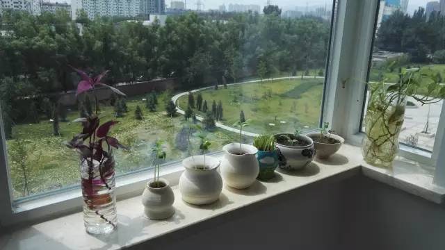 回龙观医院有康复科吗,回龙观日间病房