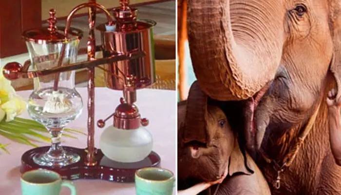 「泰·好食」作为咖迷,这些泰国咖啡文化您得知道