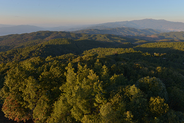 贵州值得一去的原生态村在哪里,贵州世界十大森林旅游胜地之一