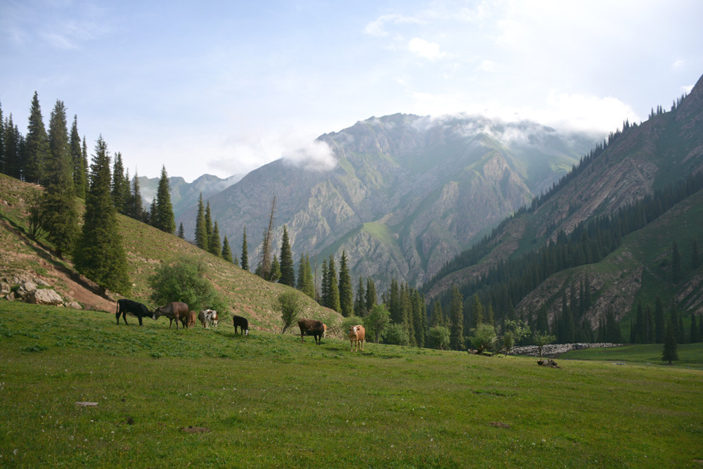 行者无疆-6月乌孙，漂洋过海为圣湖，翻山越岭因初心