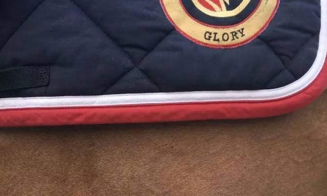 马出血、后护腿使用等规则将被修改，国际马联禁止使用误导马术真实性的装备