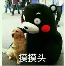 十二星座照顾女朋友表现,十二星座失恋后怎么安慰他