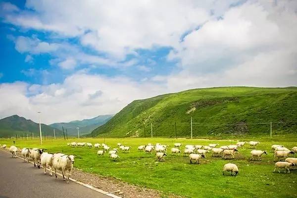 对不起，我去草原了，别再找我了……