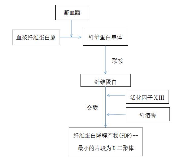 d-二聚体简介,怎样降低d二聚体指标
