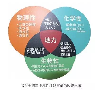 印象日本:“岛国”农业为什么能做得风生水起?