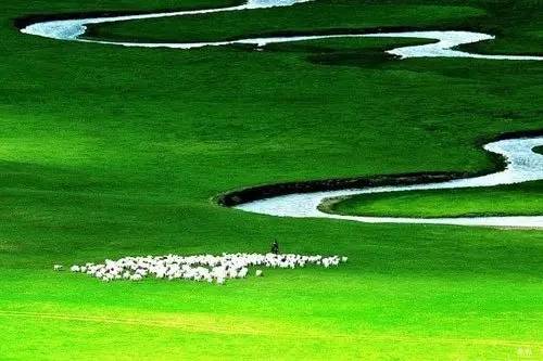 对不起，我去草原了，别再找我了……