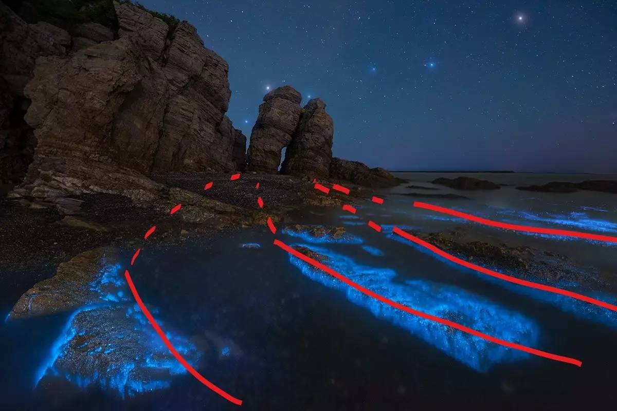 中国荧光海最佳观赏时间和地点,厦门蓝色荧光海是真实的吗