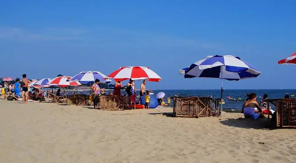 秦皇岛适合带狗去的地方,北戴河的民宿带狗的可以去吗