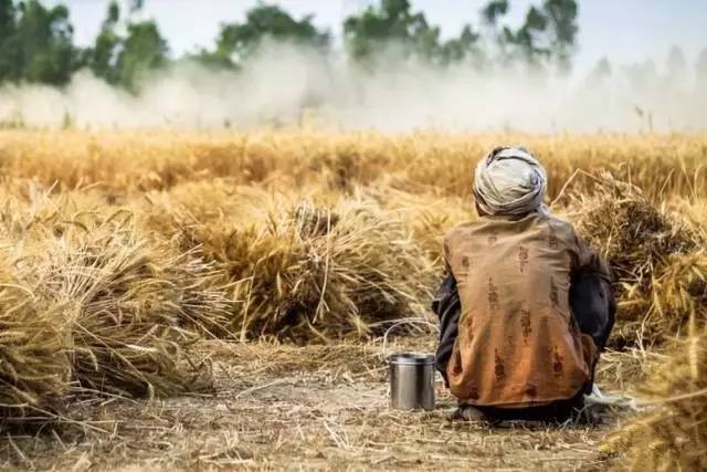 一飞智控凭何俘获央视《机智过人》的芳心?