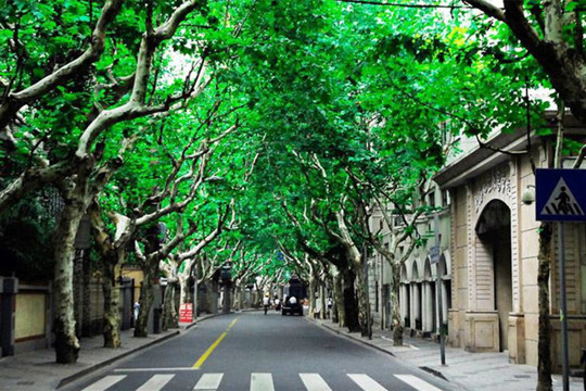 新酒店第一天入住,新酒店一般需要入驻哪些平台