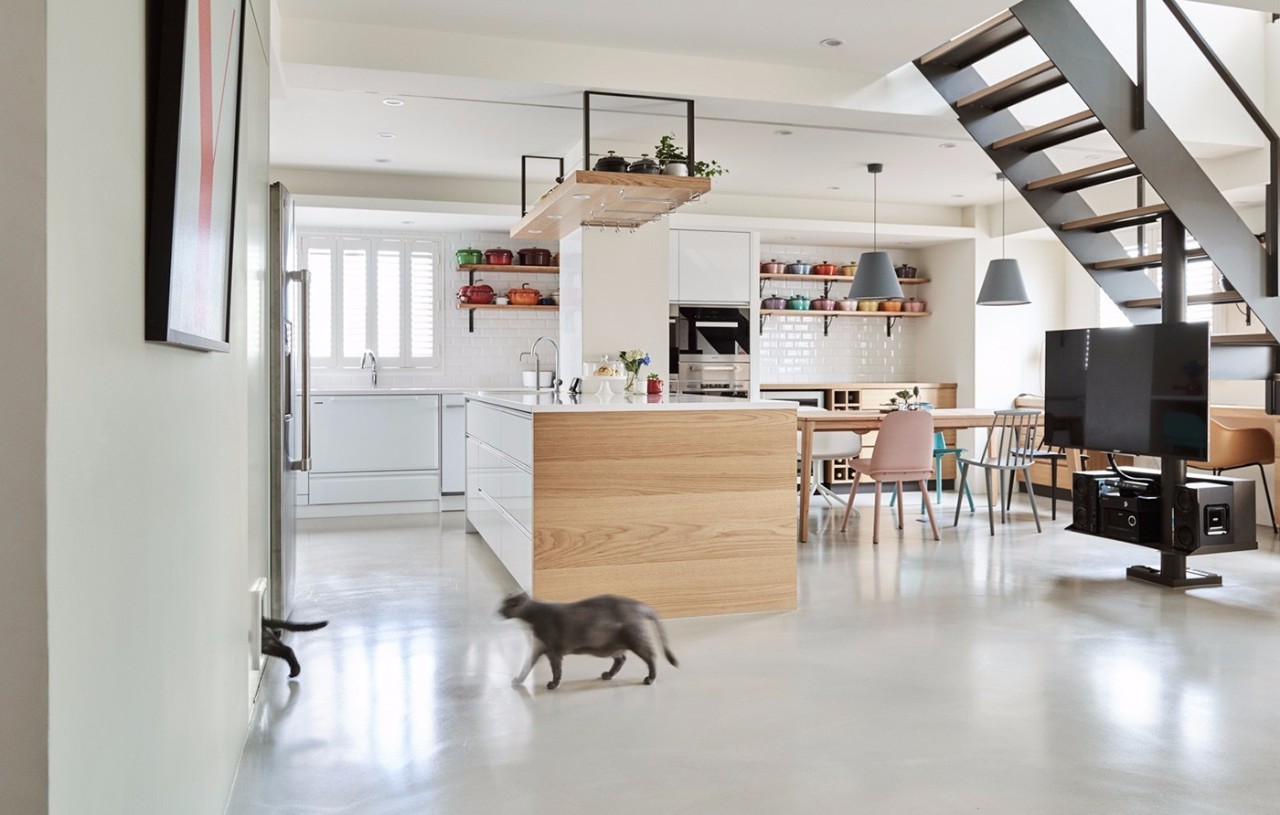 猫奴的生活布置,猫奴的卧室怎么装扮