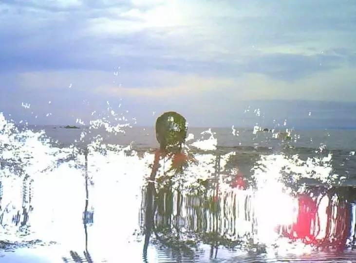 lomo摄影成立了多少年,lomo摄影是什么意思