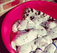 斑点狗长大了还会长出新的斑点吗,斑点狗刚出生的时候是长什么样的