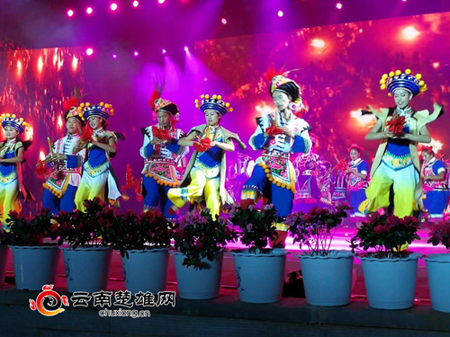 2022南华野生菌美食文化节演唱会,祝贺南华野生菌美食节开幕