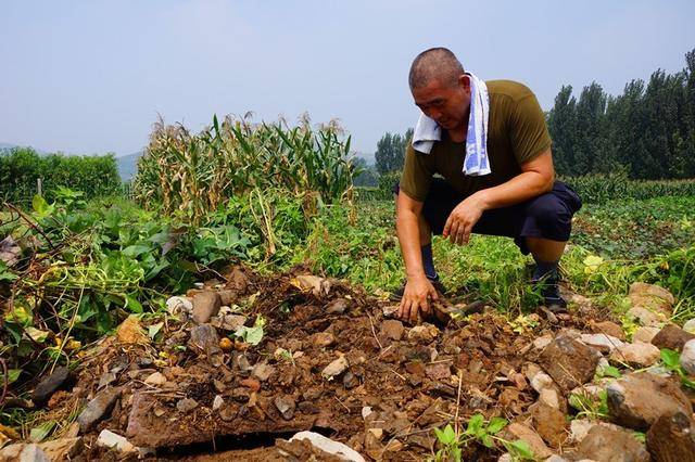 美丽乡村永丰镇三元村,2024年源泉镇西高村
