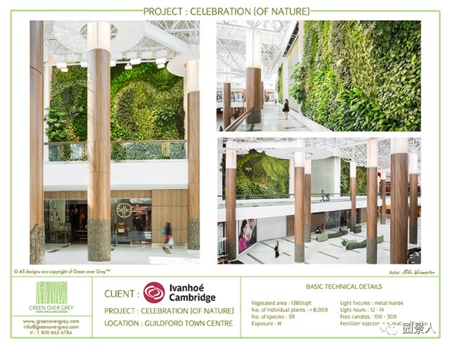 一说到垂直绿化，脑袋里就蹦出他，他，他（附失败案例经验总结）