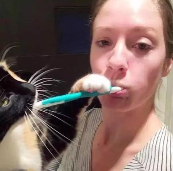 自从养了狗就没有了朋友,自从养了狗就没有朋友