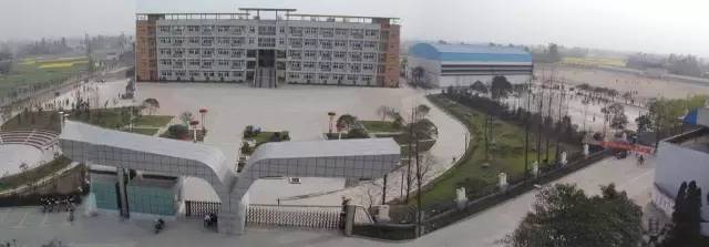 语闻丨8岁娃儿8个小时耍脱5万元……